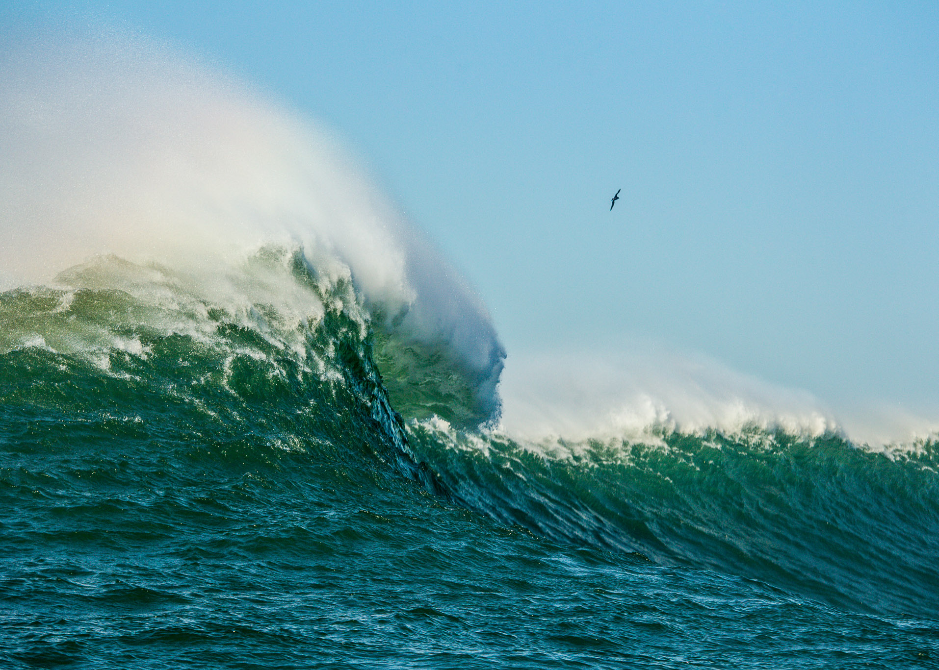 BenMoonPhoto_101102_nelscottreef_122